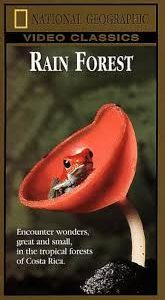 Explorez la magie des forêts tropicales avec Natl Geo Rain Forest