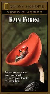 Explorez la magie des forêts tropicales avec Natl Geo Rain Forest