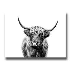 Peinture Highland Sauvages - Éveillez votre esprit d'aventure