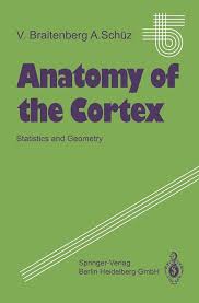 Statistiques du Cortex Anatomique par Valentino Braitenberg