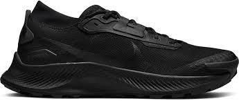 Nike Pegasus Gore Tex Waterproof Running - Confort et Performance