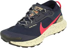 Nike Pegasus Gore Tex Waterproof Running pour Homme - Confort et Performance