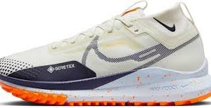 Nike Pegasus Gore Tex Waterproof Running - Performance et Confort