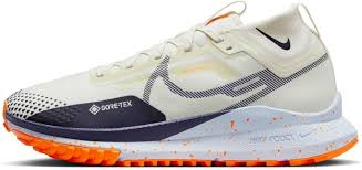 Nike Pegasus Gore Tex Waterproof Running - Performance et Confort