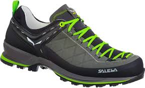 Chaussures Salewa MTN Trainer 2 Leather - Performance et Confort