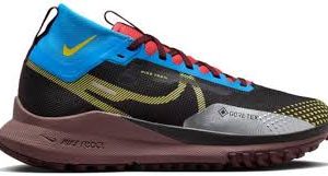 Nike Pegasus Gore-Tex : Performance et Confort au Quotidien