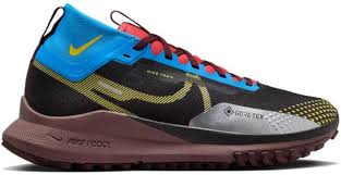 Nike Pegasus Gore-Tex : Performance et Confort au Quotidien