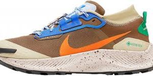 Baskets NIKE Pegasus Trail Gore Tex pour Homme - Confort et Performance