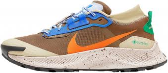 Baskets NIKE Pegasus Trail Gore Tex pour Homme - Confort et Performance