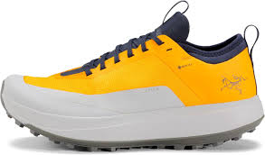 Chaussures Arcteryx Sylan Course Gore Tex - Performance et Confort