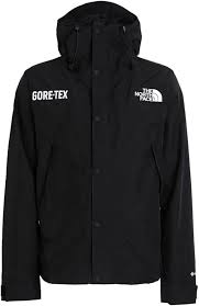 Veste Homme The North Face GTX : Protection et Style Inégalés