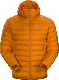 Veste Homme Arc'teryx Cerium Hoody - Confort et Performance