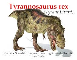 Ebook Scientifique sur le Tyrannosaure Rex : Le Roi des Lézards