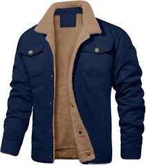 Gilet Polaire Homme - Confort et Élégance pour l'Automne
