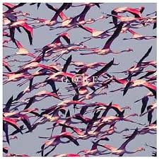 Gore Deftones - Style et Confort pour Aficionados